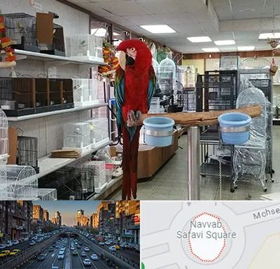 پرنده فروشی در نواب 