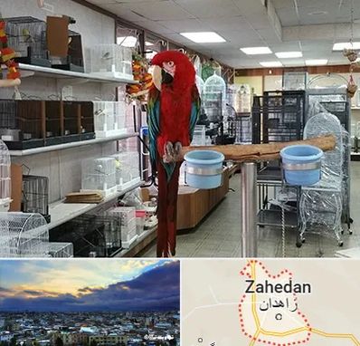 پرنده فروشی در زاهدان