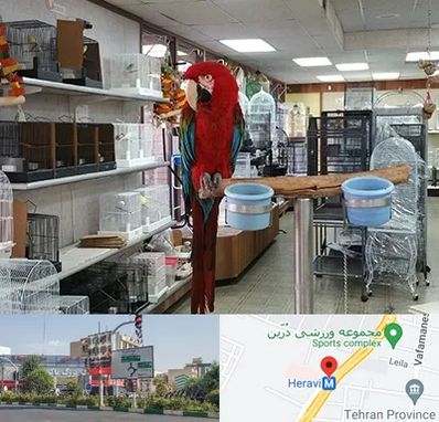 پرنده فروشی در هروی 