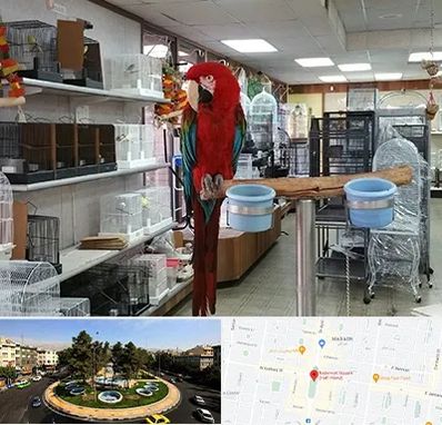 پرنده فروشی در هفت حوض 