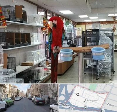 پرنده فروشی در مجیدیه شمالی