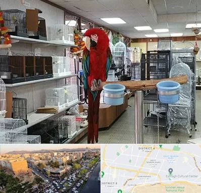 پرنده فروشی در تهرانپارس 