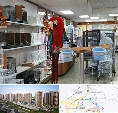 پرنده فروشی در المپیک 