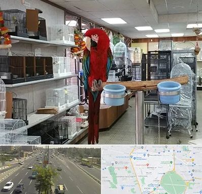 پرنده فروشی در منطقه 17 تهران 