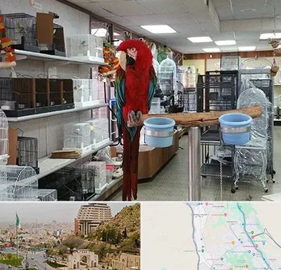 پرنده فروشی در فرهنگ شهر شیراز 