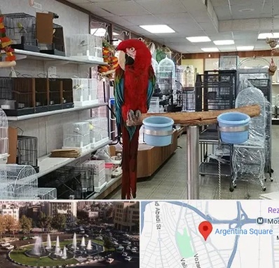 پرنده فروشی در آرژانتین