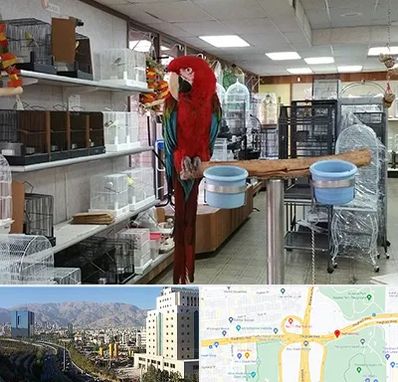 پرنده فروشی در حقانی 