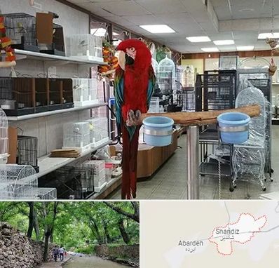 پرنده فروشی در شاندیز مشهد