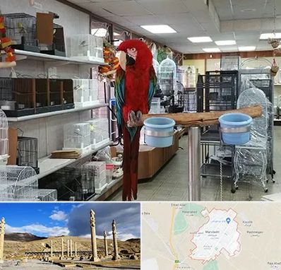 پرنده فروشی در مرودشت