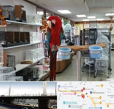 پرنده فروشی در پارک وی 