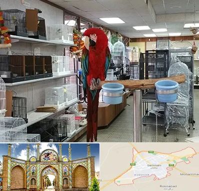 پرنده فروشی در سمنان