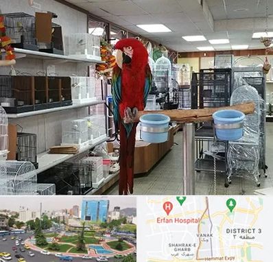 پرنده فروشی در ونک 