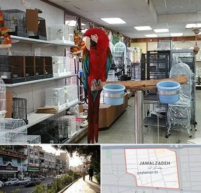 پرنده فروشی در خیابان جمالزاده
