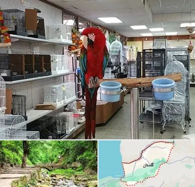 پرنده فروشی در گلستان