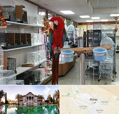 پرنده فروشی در شیراز