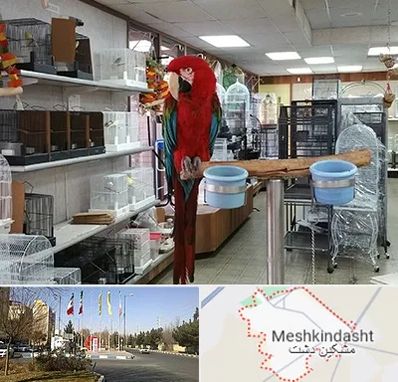 پرنده فروشی در مشکین دشت