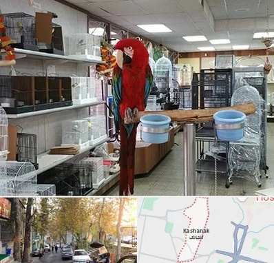 پرنده فروشی در کاشانک