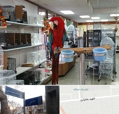 پرنده فروشی در سی متری جی