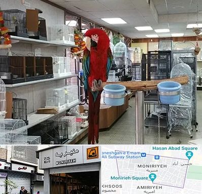پرنده فروشی در منیریه 