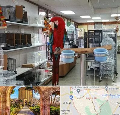 پرنده فروشی در شهر ری