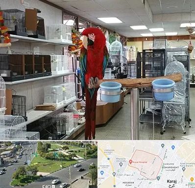 پرنده فروشی در شاهین ویلا کرج 