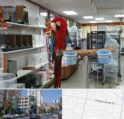 پرنده فروشی در کامرانیه