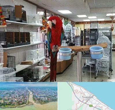 پرنده فروشی در تنکابن