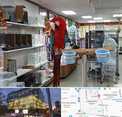 پرنده فروشی در جمهوری 