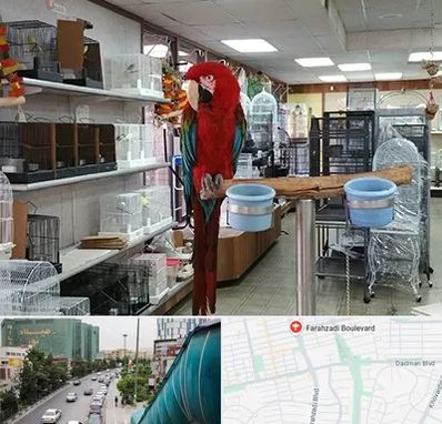 پرنده فروشی در بلوار فرحزادی
