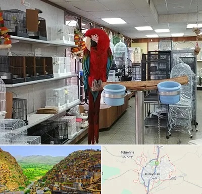 پرنده فروشی در کامیاران