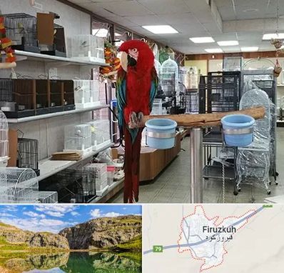 پرنده فروشی در فیروزکوه