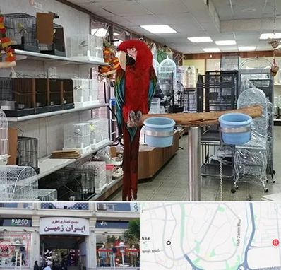 پرنده فروشی در ایران زمین