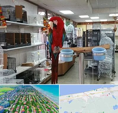 پرنده فروشی در فریدونکنار