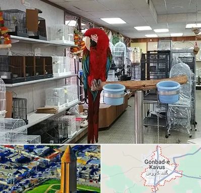 پرنده فروشی در گنبد کاووس