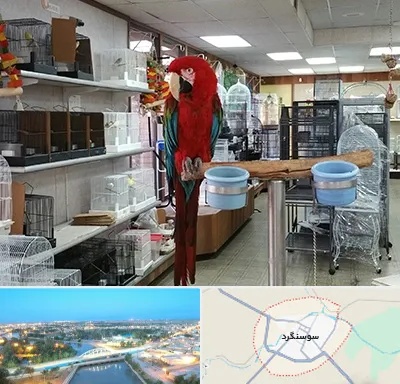 پرنده فروشی در سوسنگرد
