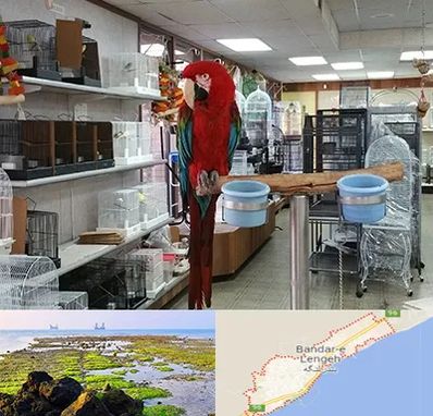 پرنده فروشی در بندرلنگه