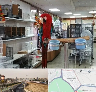 پرنده فروشی در جوادیه