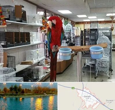 پرنده فروشی در قروه