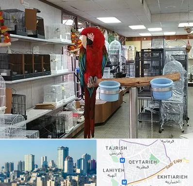 پرنده فروشی در قیطریه 