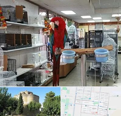 پرنده فروشی در مرداویج اصفهان 