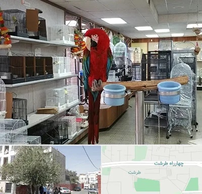 پرنده فروشی در طرشت