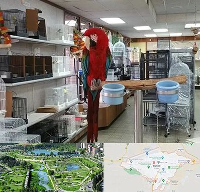 پرنده فروشی در بجنورد