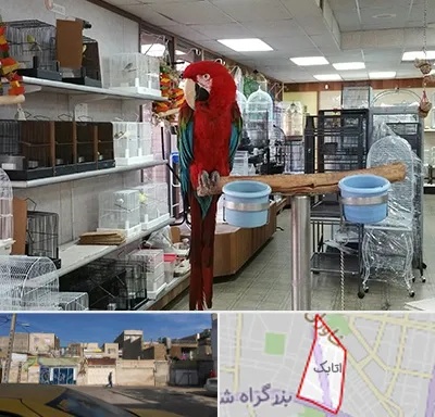 پرنده فروشی در اتابک