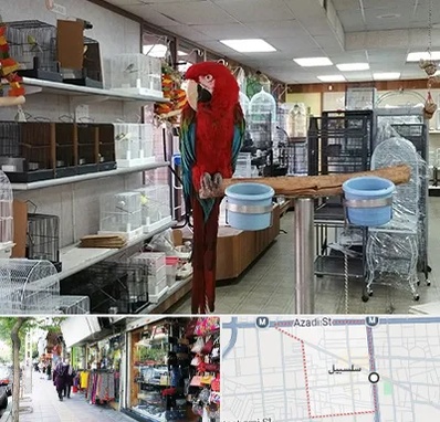 پرنده فروشی در سلسبیل