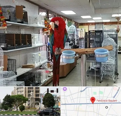 پرنده فروشی در میدان فردوسی تهران