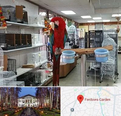 پرنده فروشی در باغ فردوس
