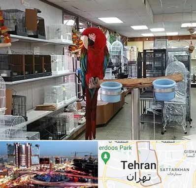 پرنده فروشی در صادقیه 