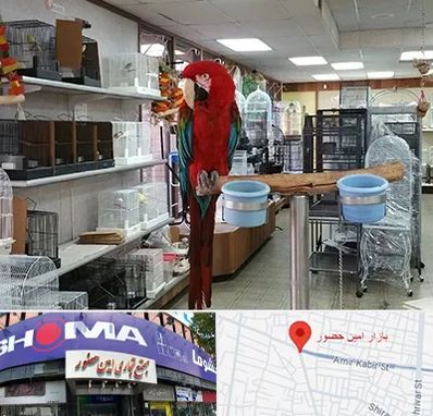 پرنده فروشی در امین حضور