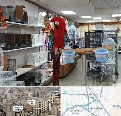 پرنده فروشی در جنوب شرق تهران