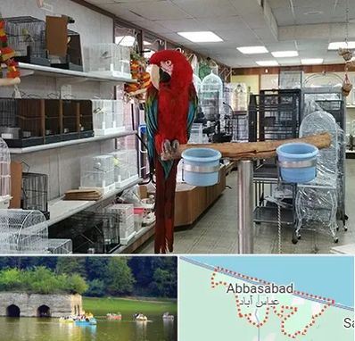 پرنده فروشی در عباس آباد